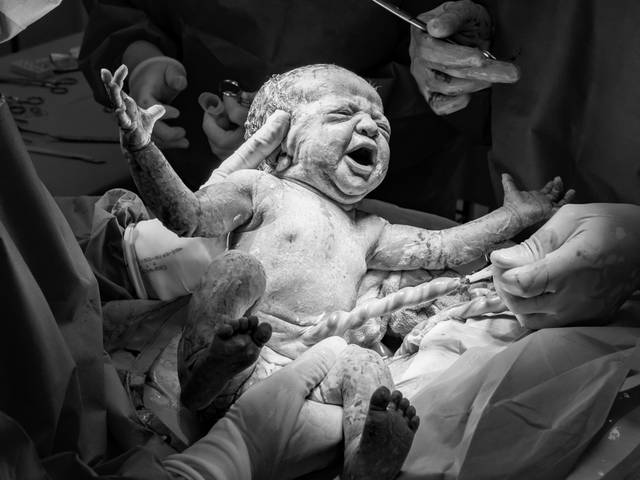 Parto de A chegada de Maria Flor