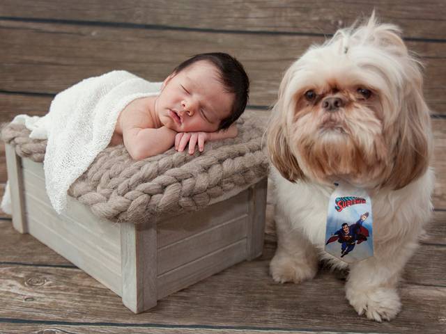 Newborn de Arthur 11 dias - ensaio Newborn