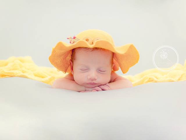 Newborn de Book Newborn - Melinna
