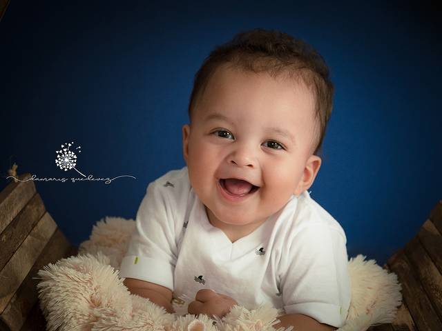 Bebês de Henry - 6 meses