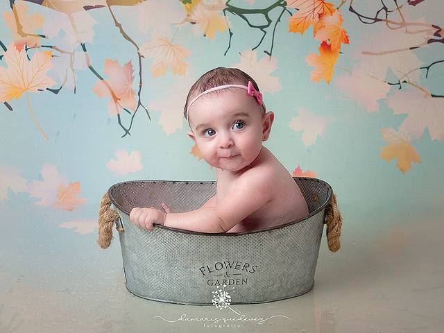 Bebês de Larissa - 6 meses