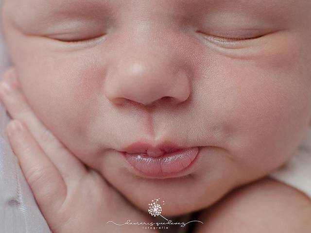 Newborn de Bento | Newborn