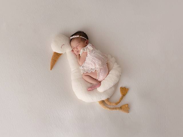 Newborn de Newborn - Helena - 20 dias