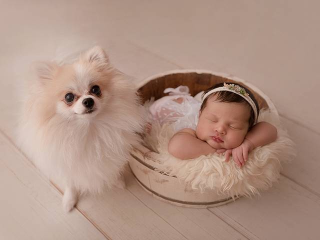 Newborn de Newborn Giovana