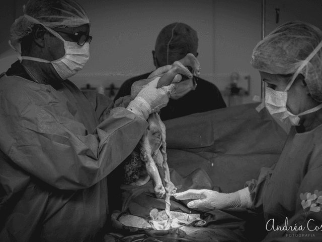 Nascimentos de Nascimento do Álvaro