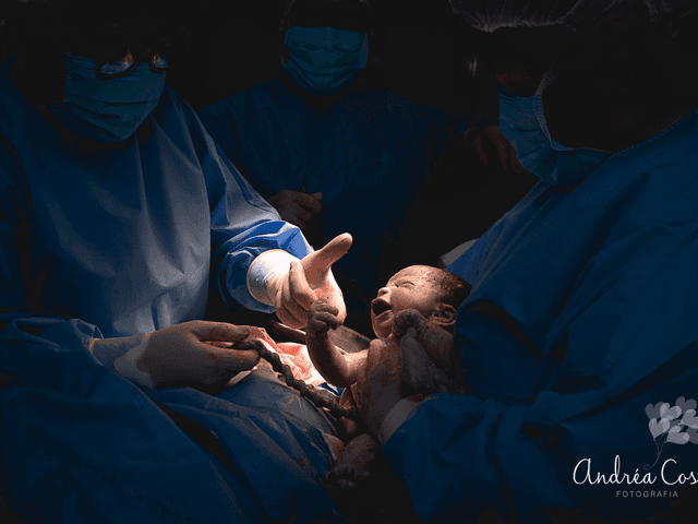 Nascimentos de Nascimento do Théo