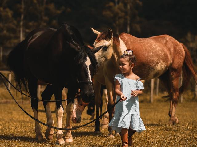 Infantil de O mundo de Carol
