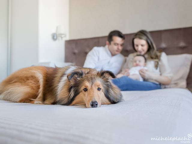 Infantil de João Francisco, 3 meses [Luciana e Eduardo]