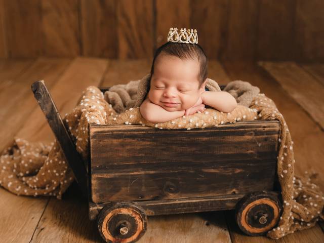 Newborn de Leonardo