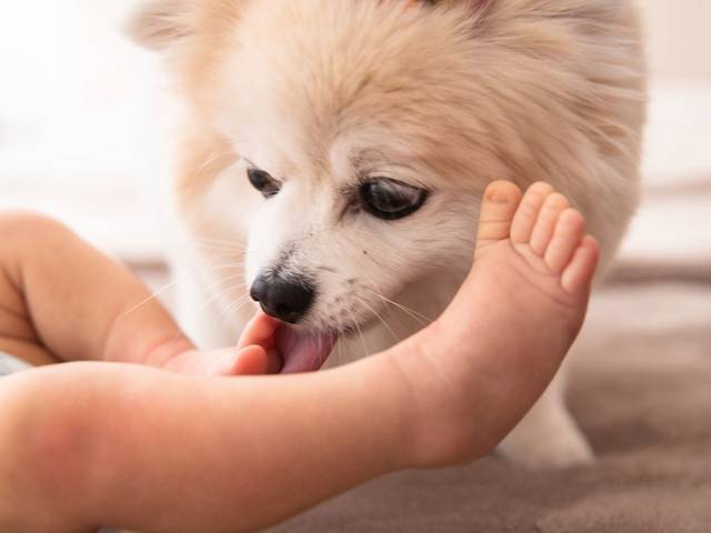 Acompanhamento de Maria 1 mês