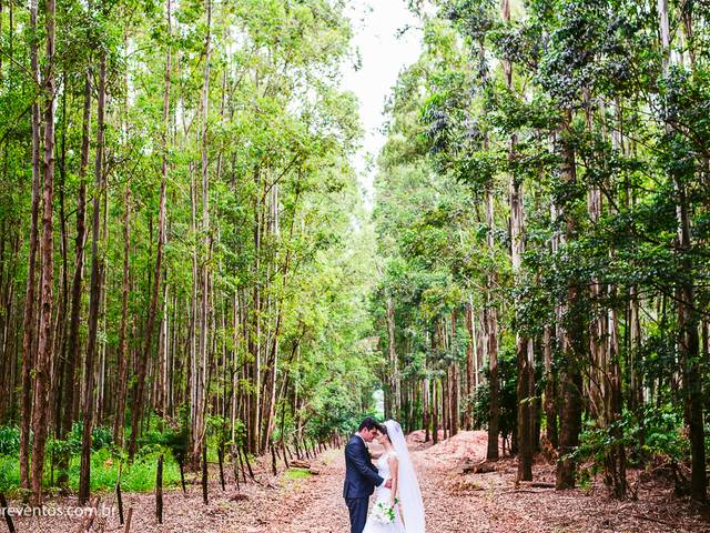 Casamento de Carol + Leandro