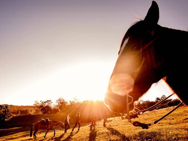Conceitual de Ensaio da Família Tadiotto