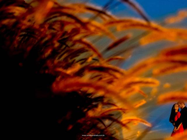 Pré wedding de Ensaio Romântico de Thassia e Reyves no Parque do Ibirapuera em São Paulo - SP -  Sandro Andrade Fotografias