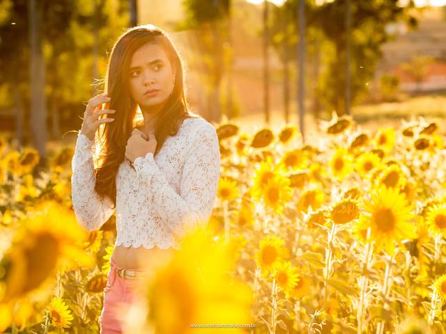 Ensaio - Book de Amanda - Campo de Girassóis - GO