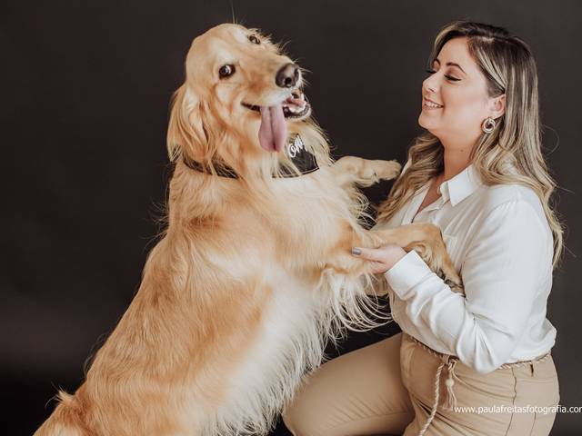 Estúdio  de Tony - Ensaio Pet 