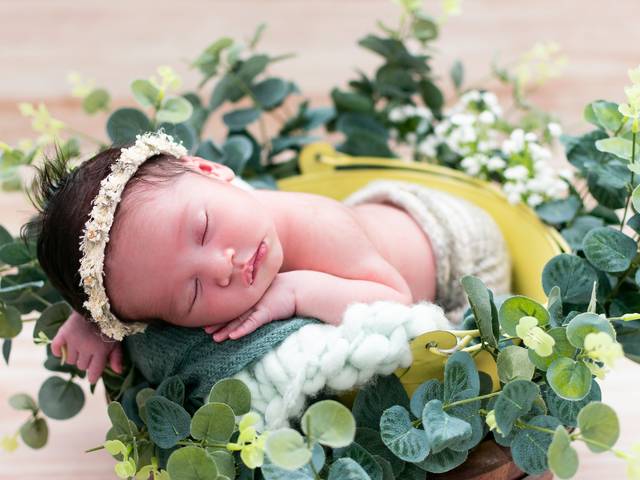 Newborn  de Ensaio de Newborn da Sophia