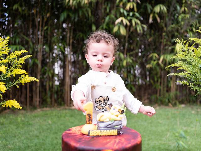 Aniversário de Aniversário de 1 ano do Benjamin
