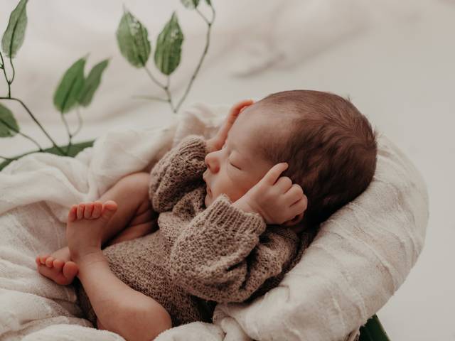 Newborn de Newborn Bento