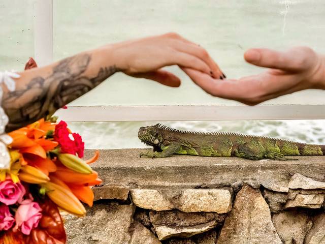 Casamento de Louisy + Elton