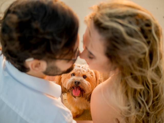 Ensaios de casais de Carol + Caio