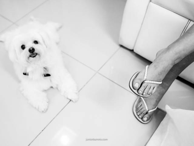 Casamento de AO VIVO: Aloma + Hermano