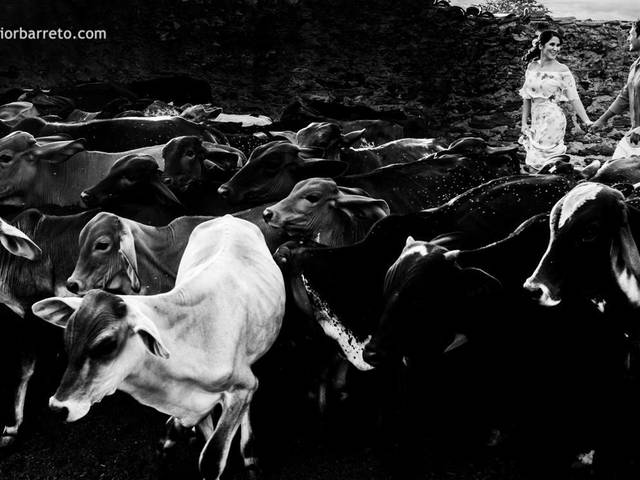 Ensaios de casais de Anninha + Manoel