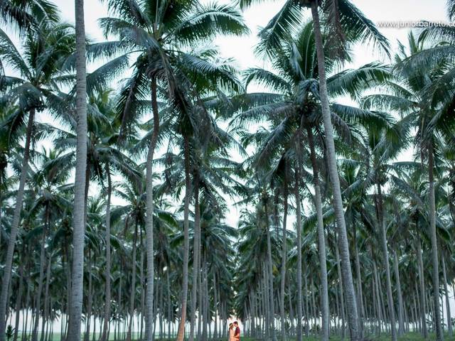 Ensaios de casais de Andrea & Diego