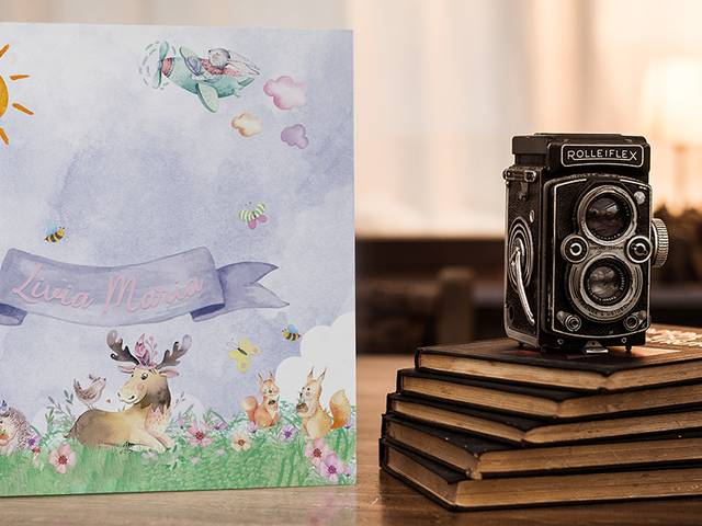 Álbuns Diagramados de Álbum Infantil de Lívia Maria