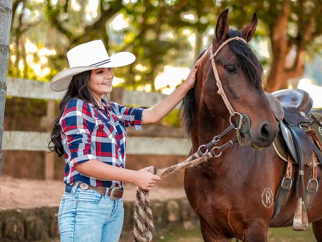 15 Anos de Ana Laura