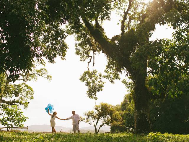 ENSAIO GRÁVIDA EXTERNO de ensaio externo grávida campo