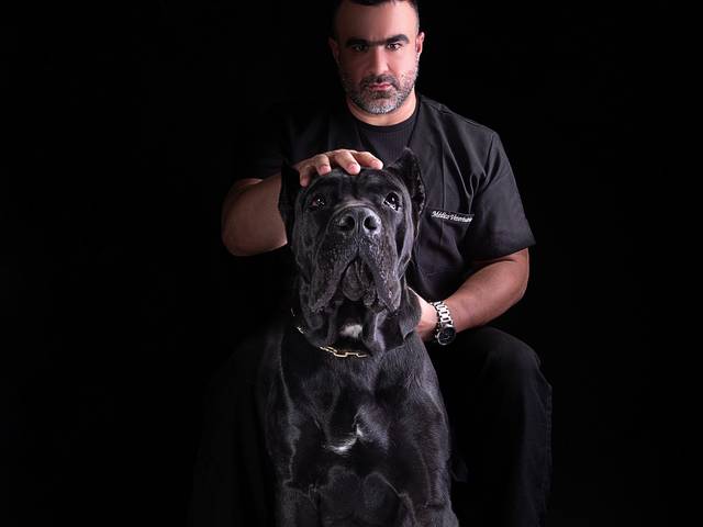 Ensaio Corporativo  de Dr.Carlos Ramalho - Médico Veterinário 