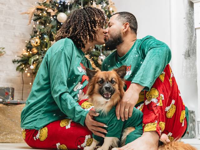 Sessão de Natal de Sessão de Natal