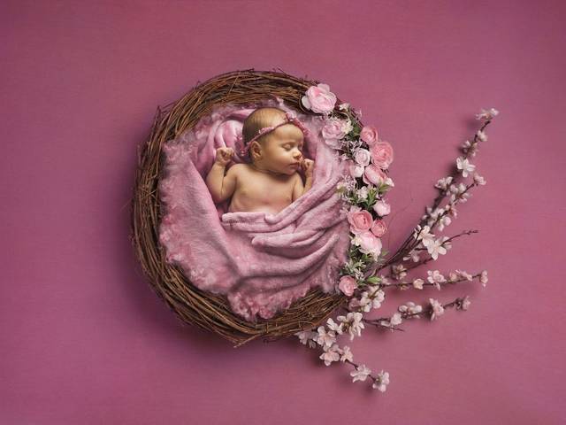 Sessão Newborn de Sofia