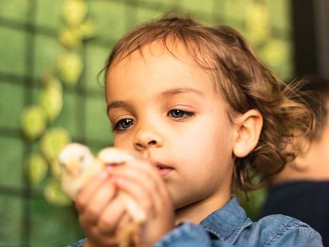 meuclickinho de Elisa 3 anos