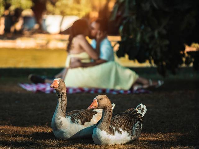 Casal de Jéssica & Leandro
