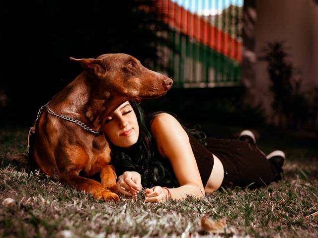 Feminino de Ensaio Pet - Beca