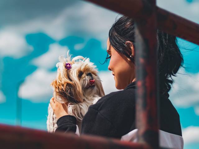 Debutante de Ensaio Debutante - Maria Luisa