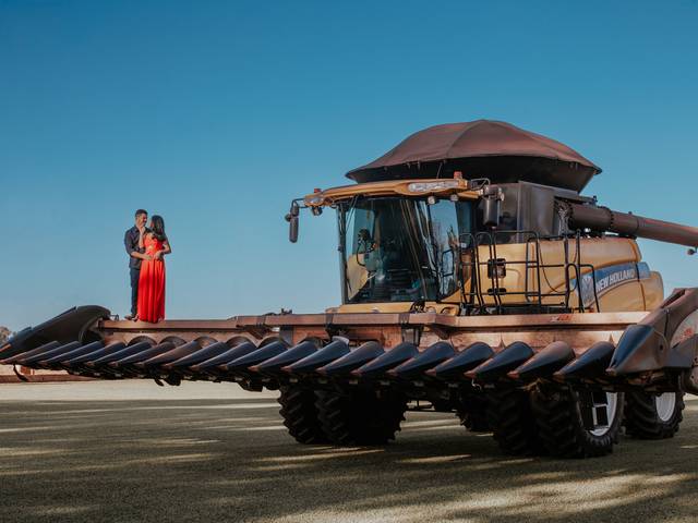 Casamento de Casamento - Aline e Fernando