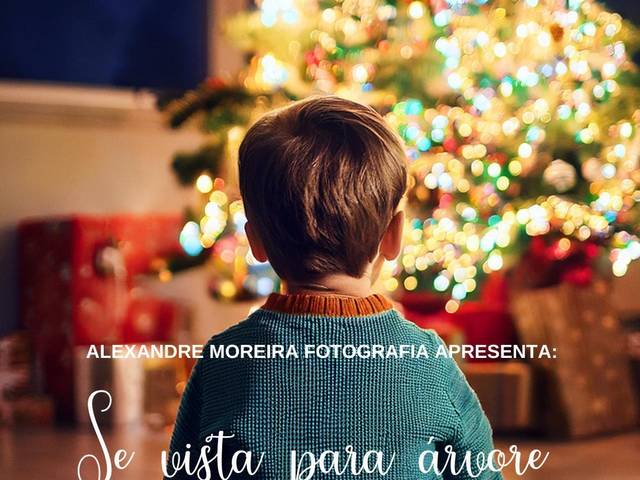 Ensaio de Se Vista para Árvore 2024 - Ensaio de Natal - lifestyle - em casa