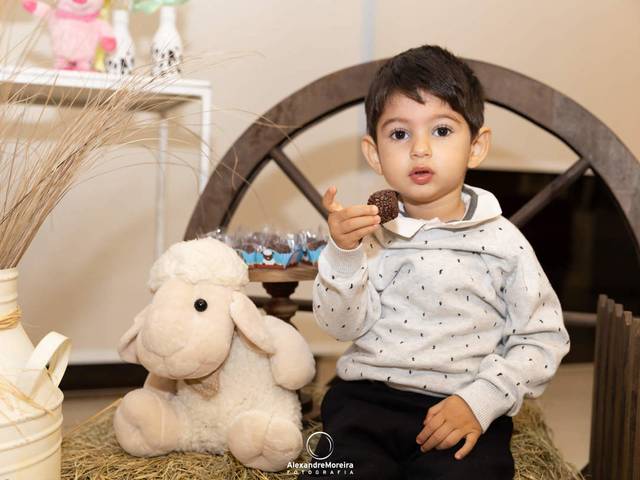 Aniversário Infantil de João 2 anos