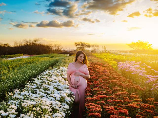 Gestante Externo de Dani Osório