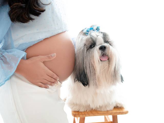 Gestante de Itanyella - Ensaio Gestante