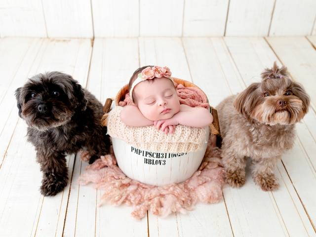 Newborn de Júlia - Ensaio Newborn