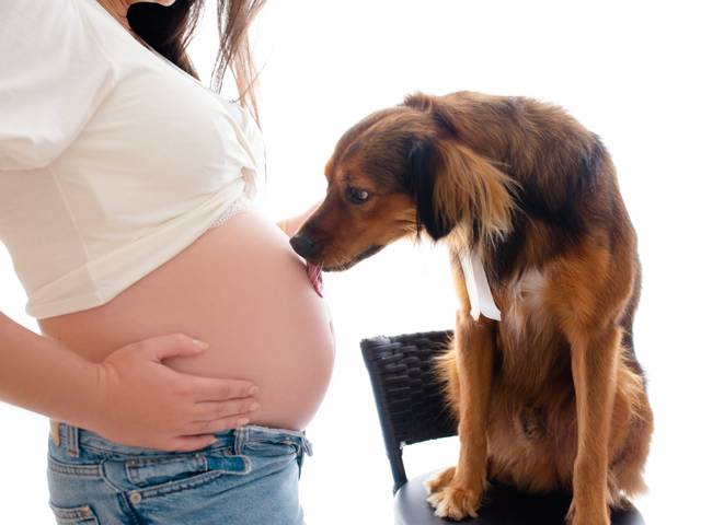 Gestante de Renata - ensaio gestante