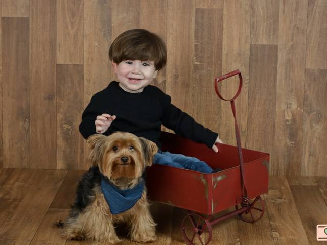 Bebês de Daniel |1 ano| 