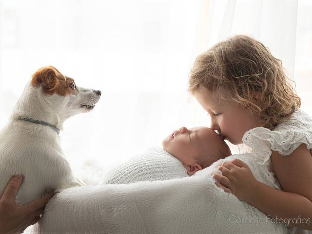 Newborn de Ensaio Newborn Liam - Estúdio 