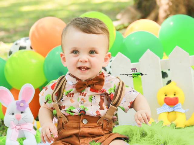 Smash the Cake  de Smash The cake Leonardo tema fazendinha