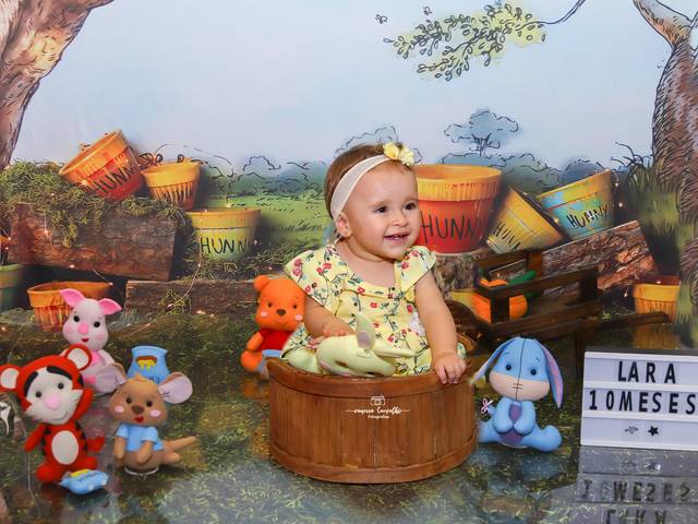 Acompanhamento Mensal de Acompanhamento Lara 10 meses