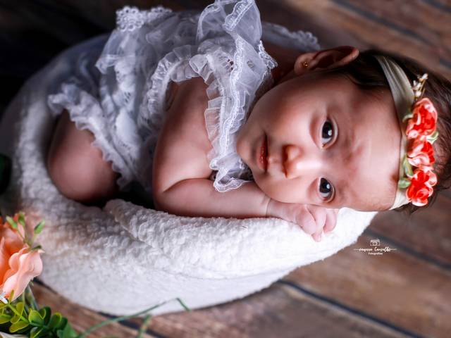 Acompanhamento Mensal de Acompanhamento mensal Sophia