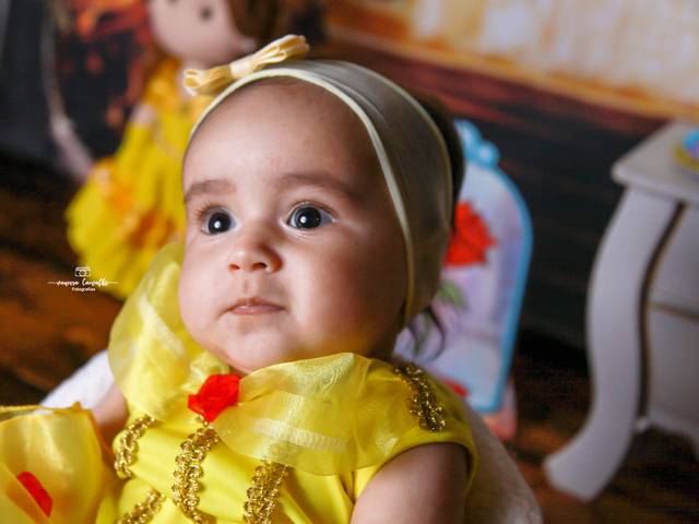 Acompanhamento Mensal de Melissa Bela e a Fera